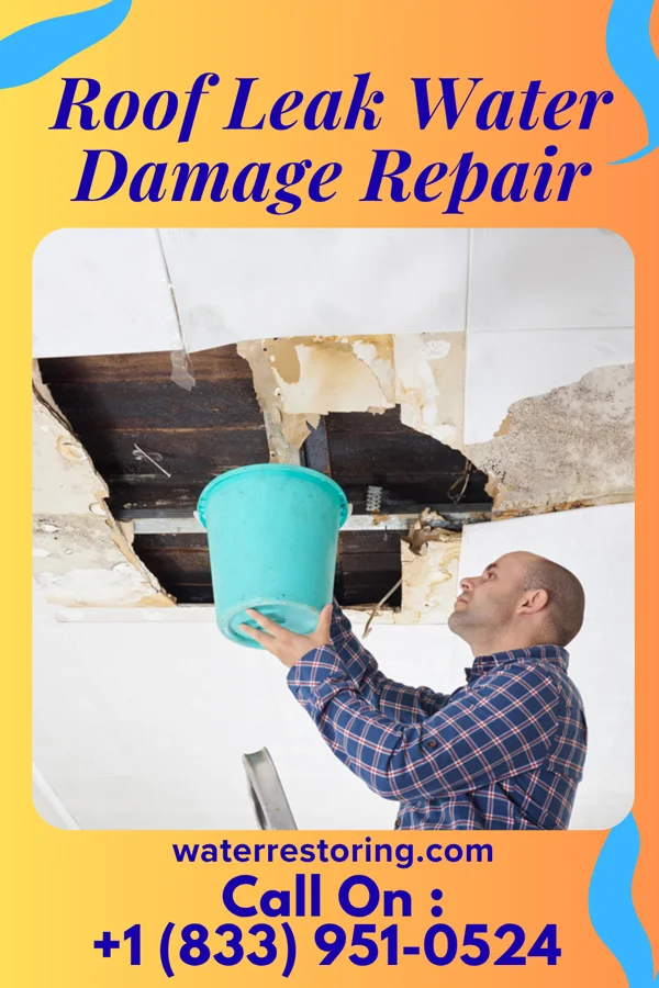 Roof Leak Water Damage Repair in Anderson, SD