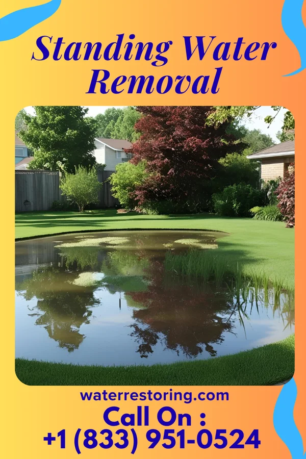 Standing Water Removal in Anderson, SD
